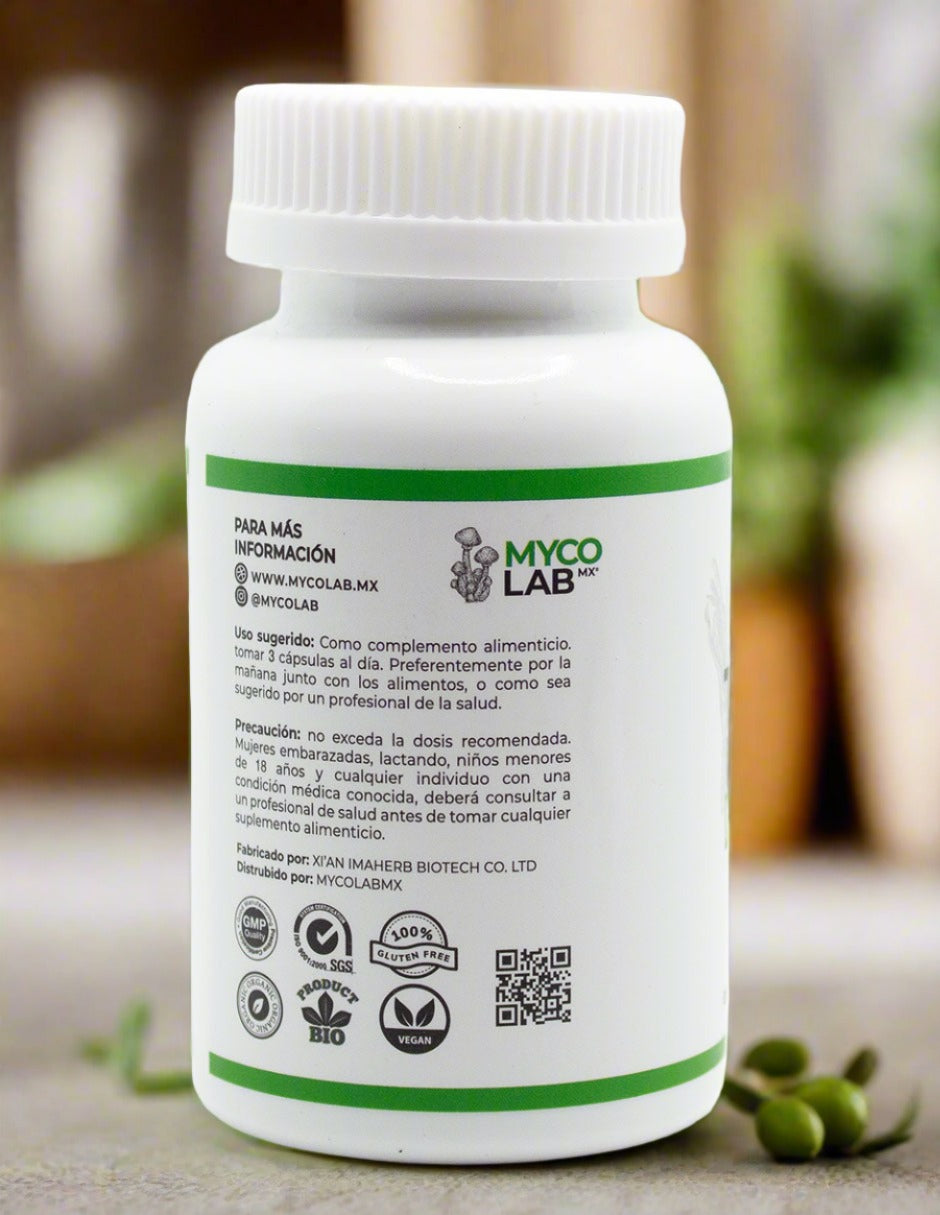 Tetra Mushroom – 90 cápsulas | Fórmula avanzada de 5 extractos funcionales